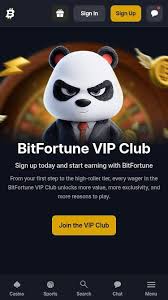 Unveiling the Excitement Seasonal Promotions at Bitfortune Casino